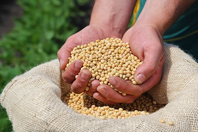 The cover picture of the next content