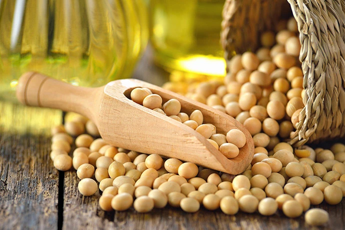 The cover picture of the next content